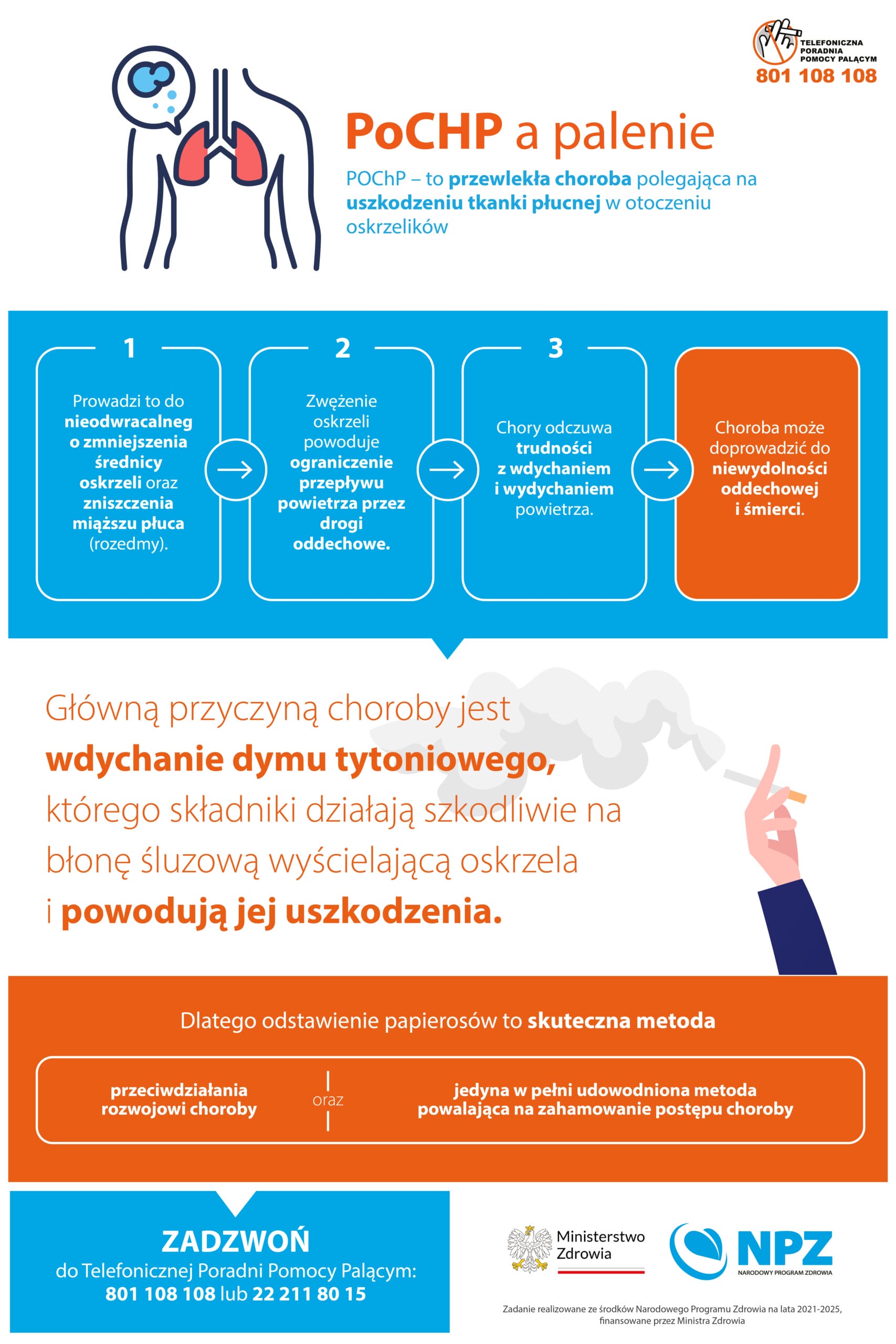 Uproszczony schemat ludzkiego układu oddechowego i krwiobiegu, z zaznaczonym procesem wchłaniania nikotyny z pęcherzyków płucnych do krwi.